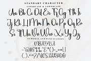 South Catalonia, a Handwritten Font by FreshTypeINK (Thumbnail 6 of 7)