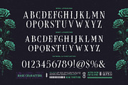 Rose Torture Typeface, a Serif Font by alit design (Thumbnail 7 of 20)