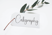 Basthian Signature | Script Font, a Handwritten Font by Scratchones (Thumbnail 5 of 8)