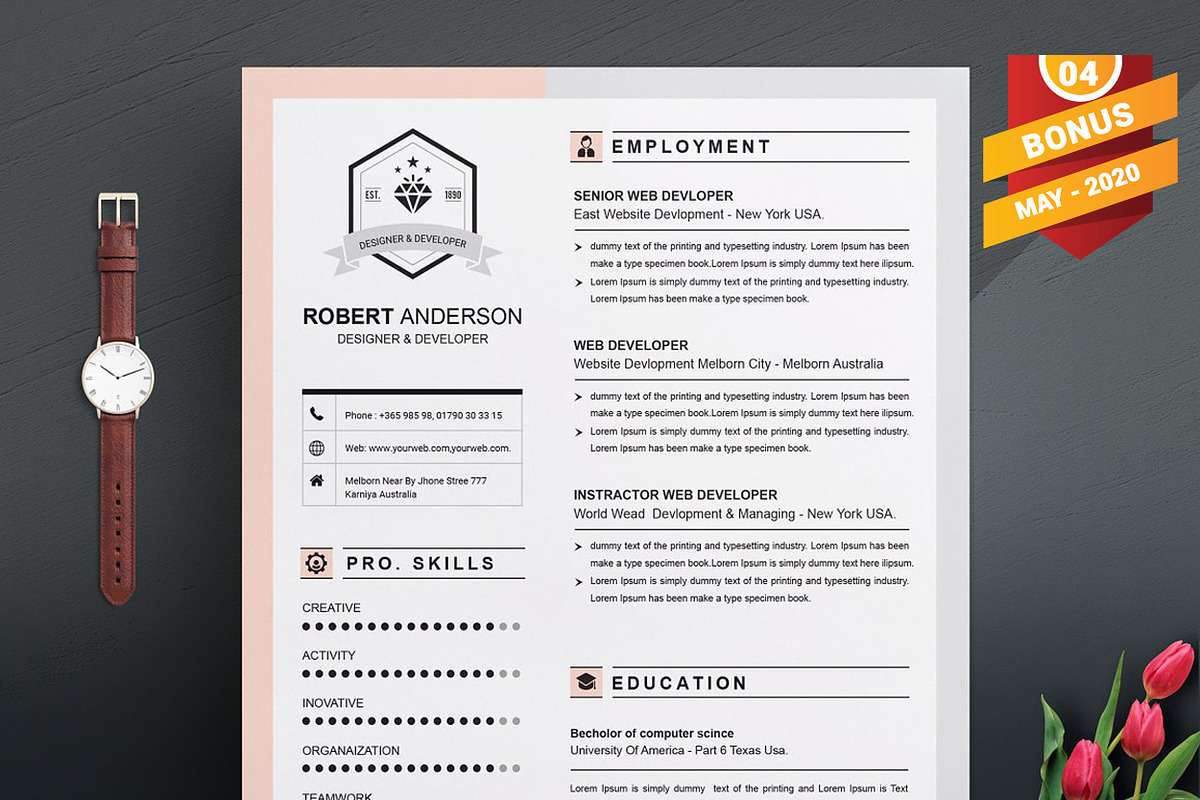Resume/CV Bundle | 200+ for $29, a Resume Template by ResumeInventor (Photo 115 of 207)