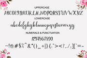 dahlia script, a Script Font by MSG Studio (Thumbnail 9 of 11)