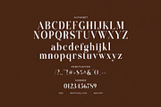 Sharly Elegant Serif Font, a Serif Font by Graphicxell (Thumbnail 8 of 8)