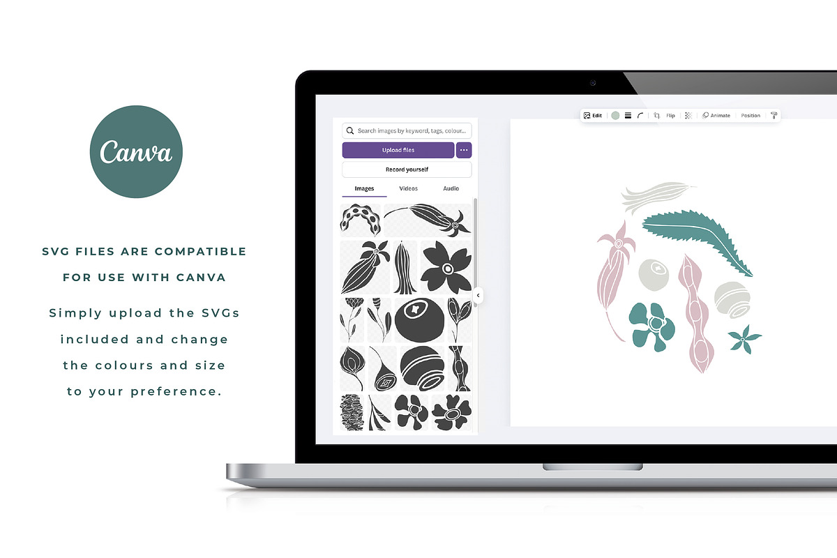 Australian Bush Florals Vector Set, a Pattern Graphic by rouxsupplyco (Photo 5 of 13)