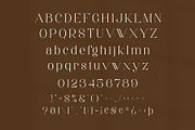 Aretha - Modern Serif Font, a Serif Font by Aqeel_Art (Thumbnail 10 of 12)