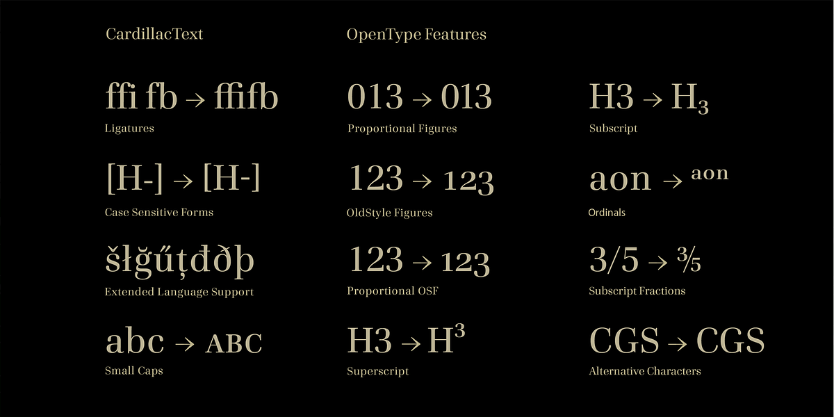 Cardillac Text, a Serif Font by Hoftype (Photo 14 of 15)