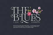 Astro Modern Serif Font, a Serif Font by Elegant Font (Thumbnail 2 of 7)