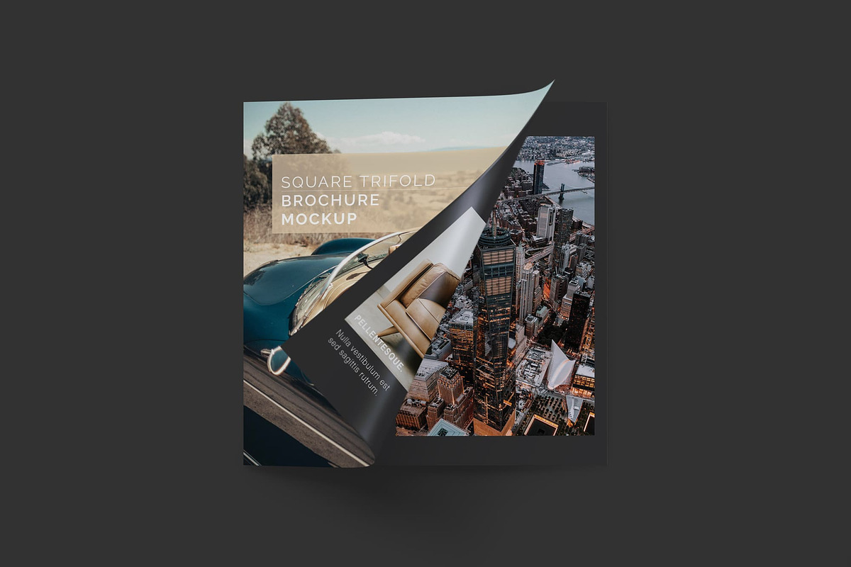 Square Trifold Brochure Mockups, a Print Template by Mockups by Carlos Viloria (Photo 18 of 23)