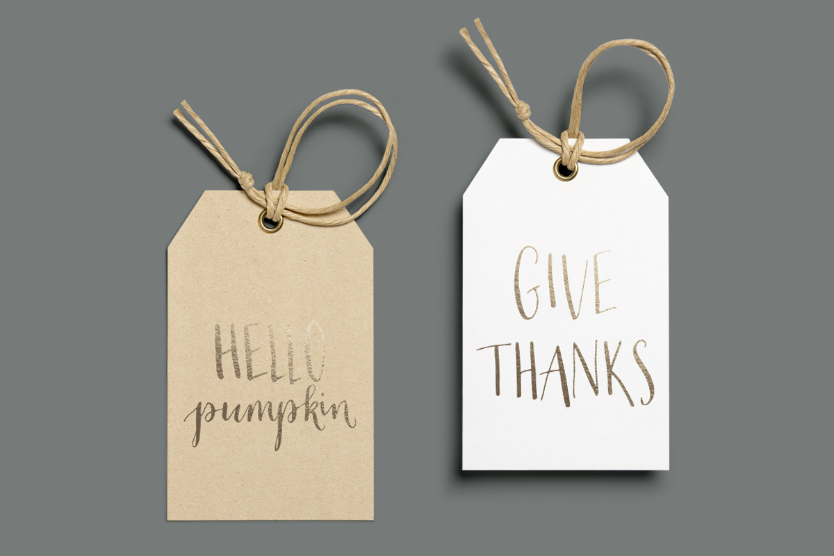 Thanksgiving Calligraphy Overlays, a Decorative Illustration by Irina Vascovet (Photo 4 of 7)