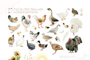 Poultry Yard Watercolors Farm Birds, an Animal Illustration by Elena Malgina Clipart (Thumbnail 2 of 7)