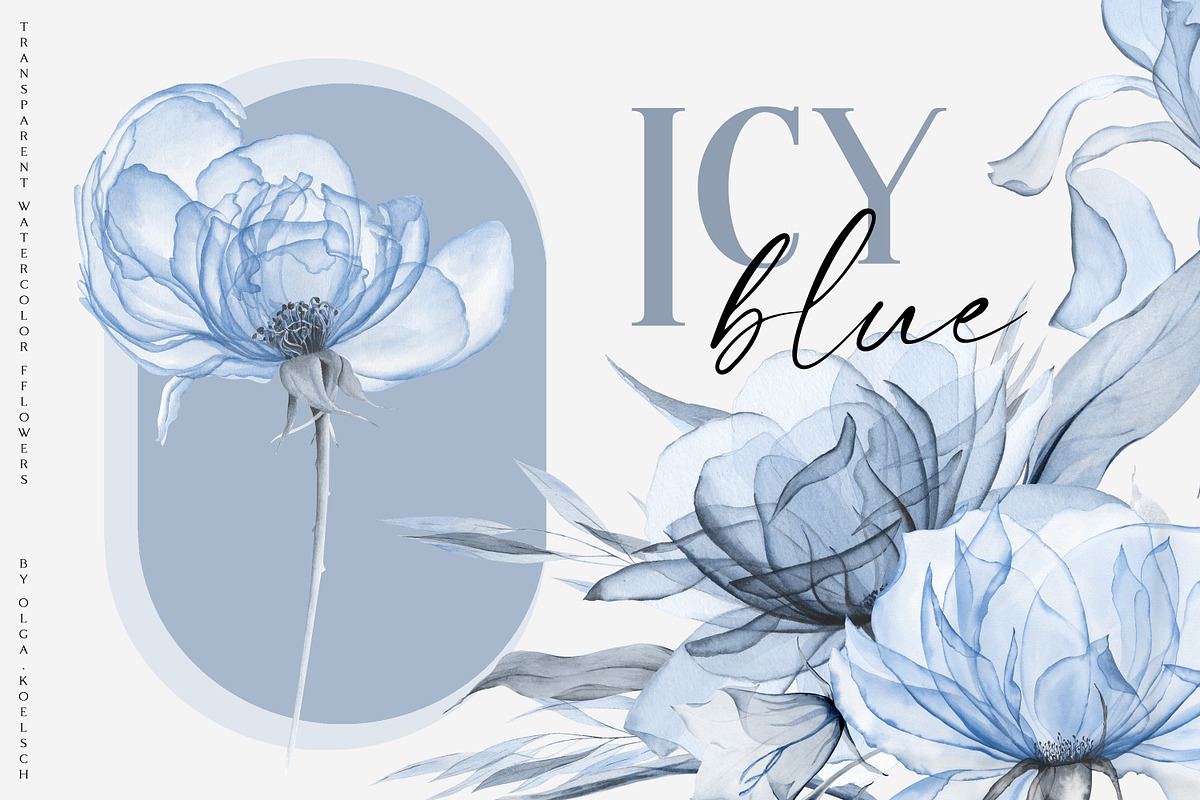 Icy Blue  - Transparent flowers, an Object Illustration by Olga Koelsch (Photo 1 of 16)