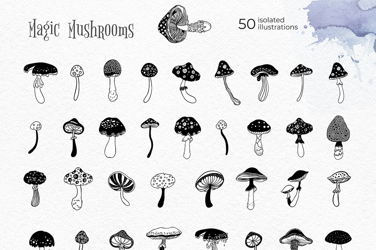 Magic MUSHROOMS. 60 BW Vector Set., an Illustration by Varvara Gorbash (Photo 10 of 11)