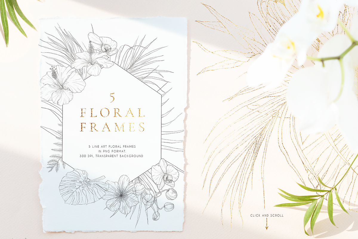 Tropical paradise. Line art set, an Illustration by Pamyatka Shop (Photo 7 of 13)