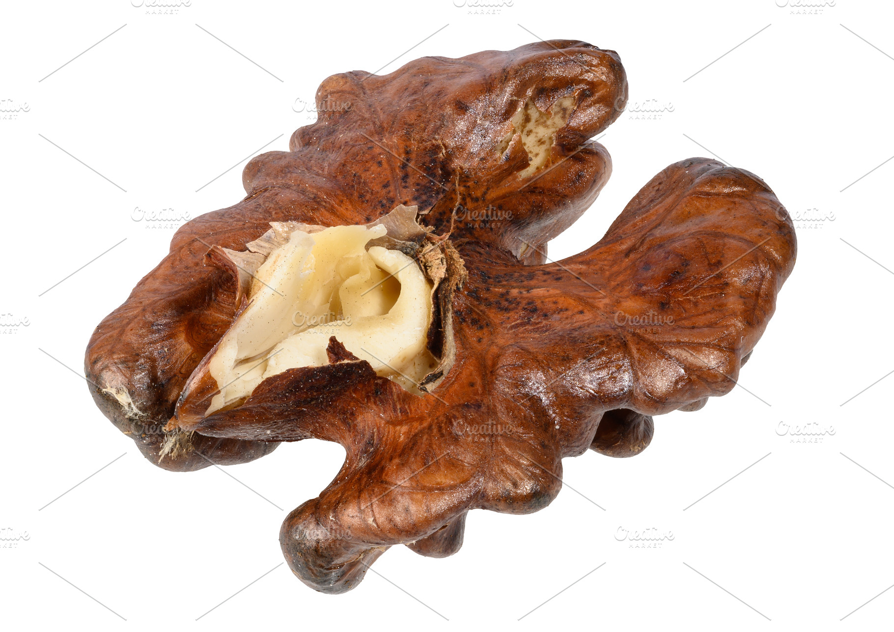 A peeled walnut kernel with characteristic ridges and brown skin, a Food & Drink Photo by ndanko