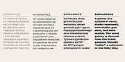Naoko AA, a Sans Serif Font by A is for... (Thumbnail 7 of 9)