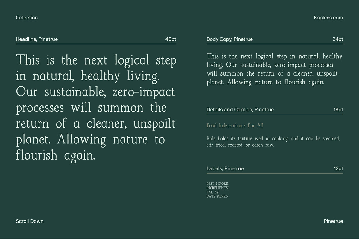 Pinetrue Font, a Handwritten Font by Koplexs Studio (Photo 6 of 12)