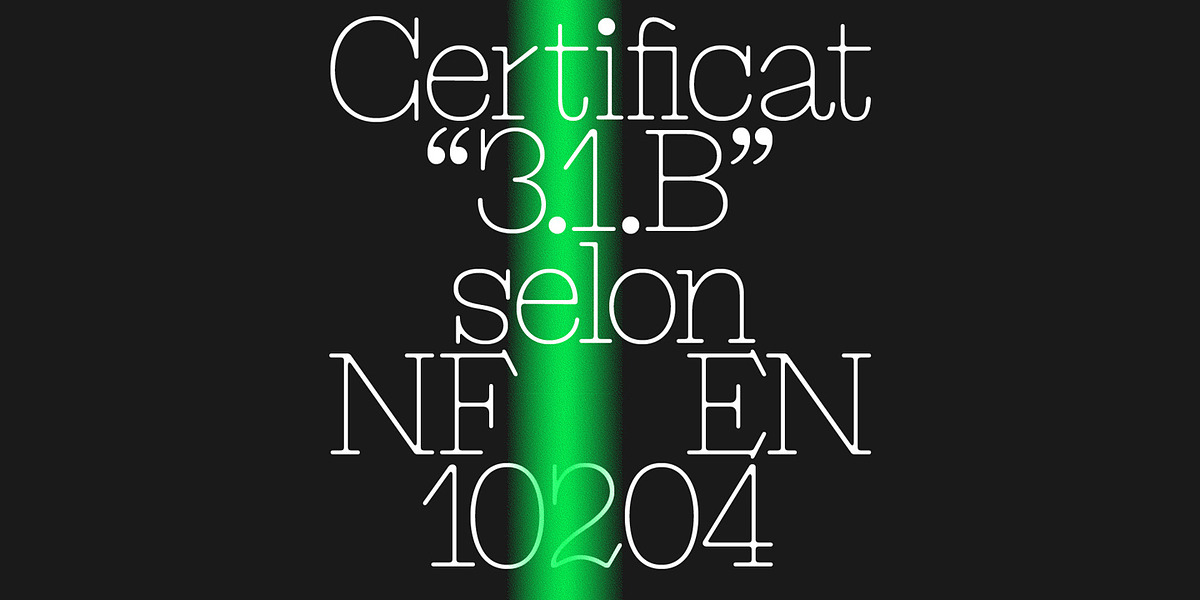 Trabis, a Serif Font by A is for... (Photo 2 of 5)