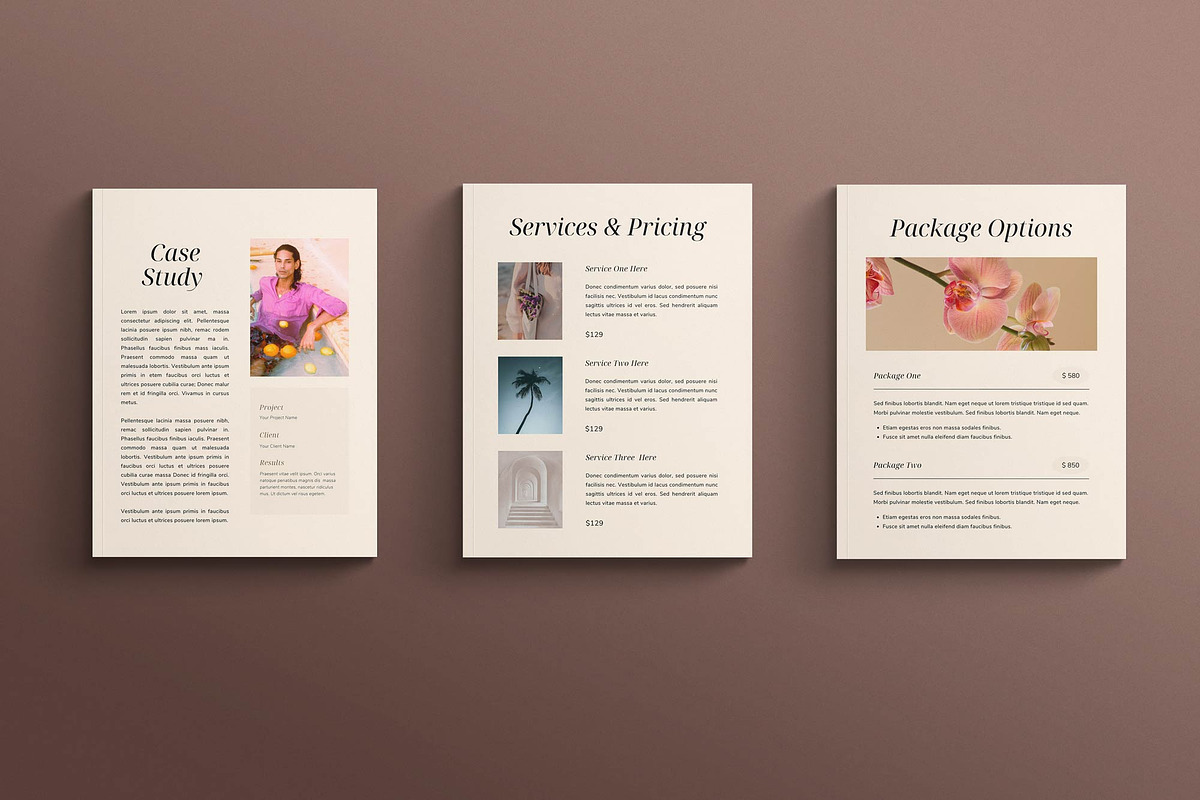 LEMONADE | Media Kit Canva Template, a Print Template by Sierra Creative Studio (Photo 5 of 10)