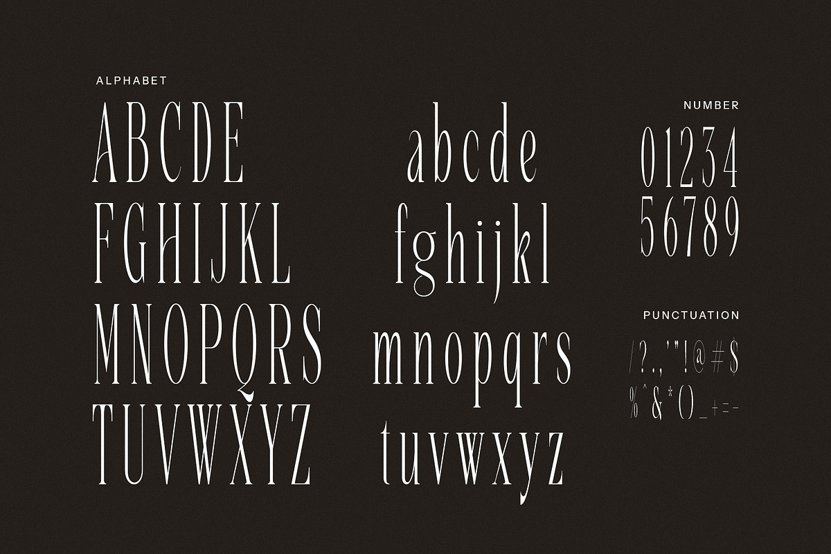 Malika - Elegant Serif Font, a Serif Font by Graphicxell (Photo 7 of 8)