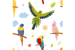 Cartoon parrot seamless pattern, an Animal Illustration by LadadikArt