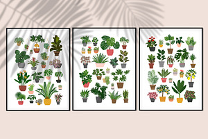 Tropical Plants Vector.