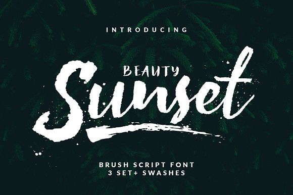 Beauty Sunset preview 8