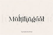 Novembra Serif Font Duo, a Serif Font by Salt & Pepper Designs (Thumbnail 6 of 11)