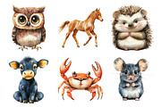 Nursery Animals Clipart, an Illustration by Daily.Designs (Thumbnail 3 of 5)