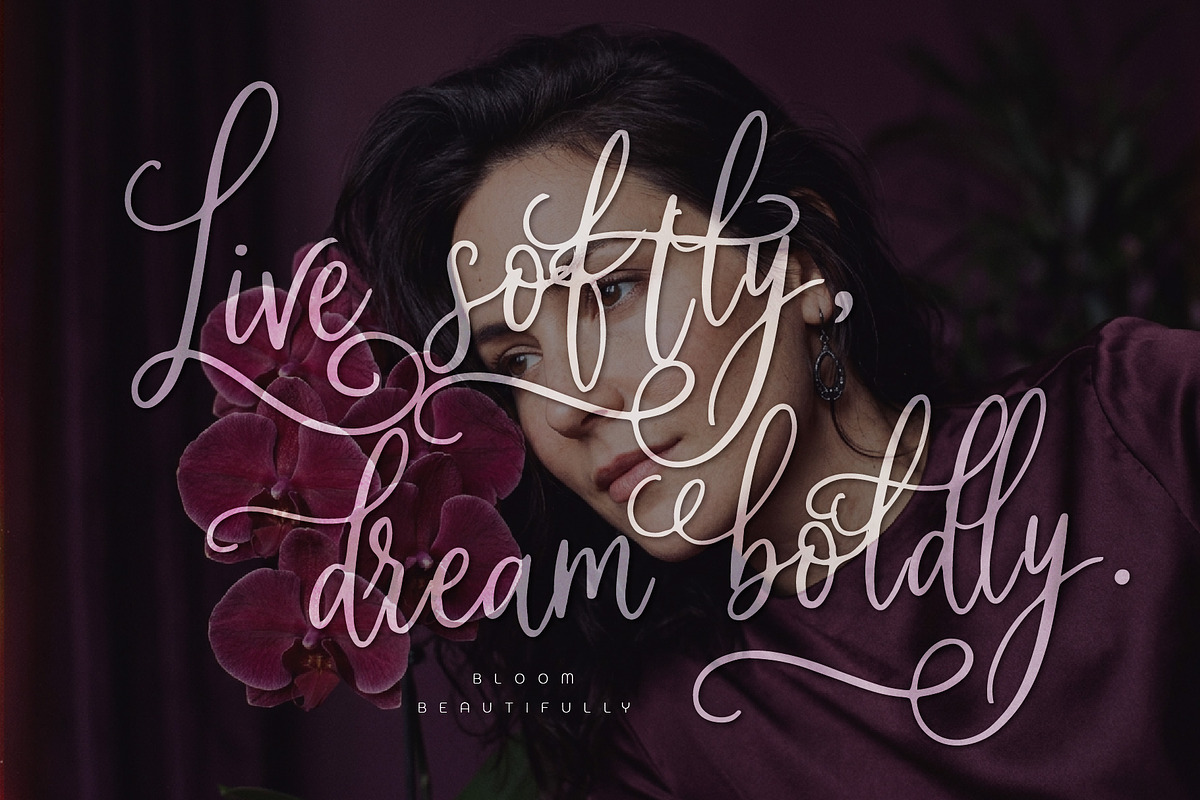 Soila Yadelle Elegant Curves Script, a Script Font by HypeWorksCo (Photo 8 of 15)
