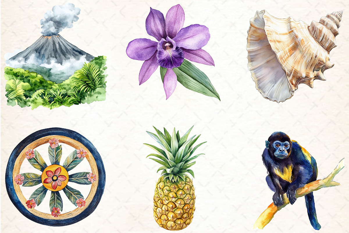 Rainforest Watercolor Vintage Nature, an Illustration by DreamCafeArt (Photo 5 of 7)