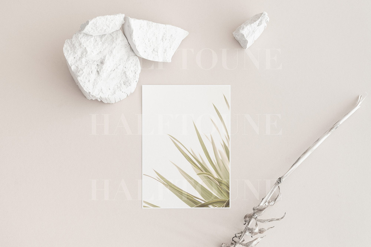 Modern Neutral Card Mockup Bundle, a Mockup by HALFTOUNE (Photo 11 of 13)