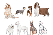 190+ Hand-drawn Watercolor Dogs, an Animal Illustration by ArtbyHien (Thumbnail 12 of 12)