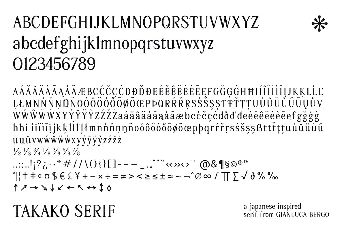 Takako serif, a Serif Font by Gianluca_Bergo (Photo 13 of 13)