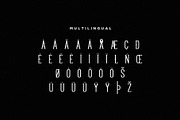 Sequoia Font + Extras, a Serif Font by Mikhail Fukurou (Thumbnail 4 of 6)