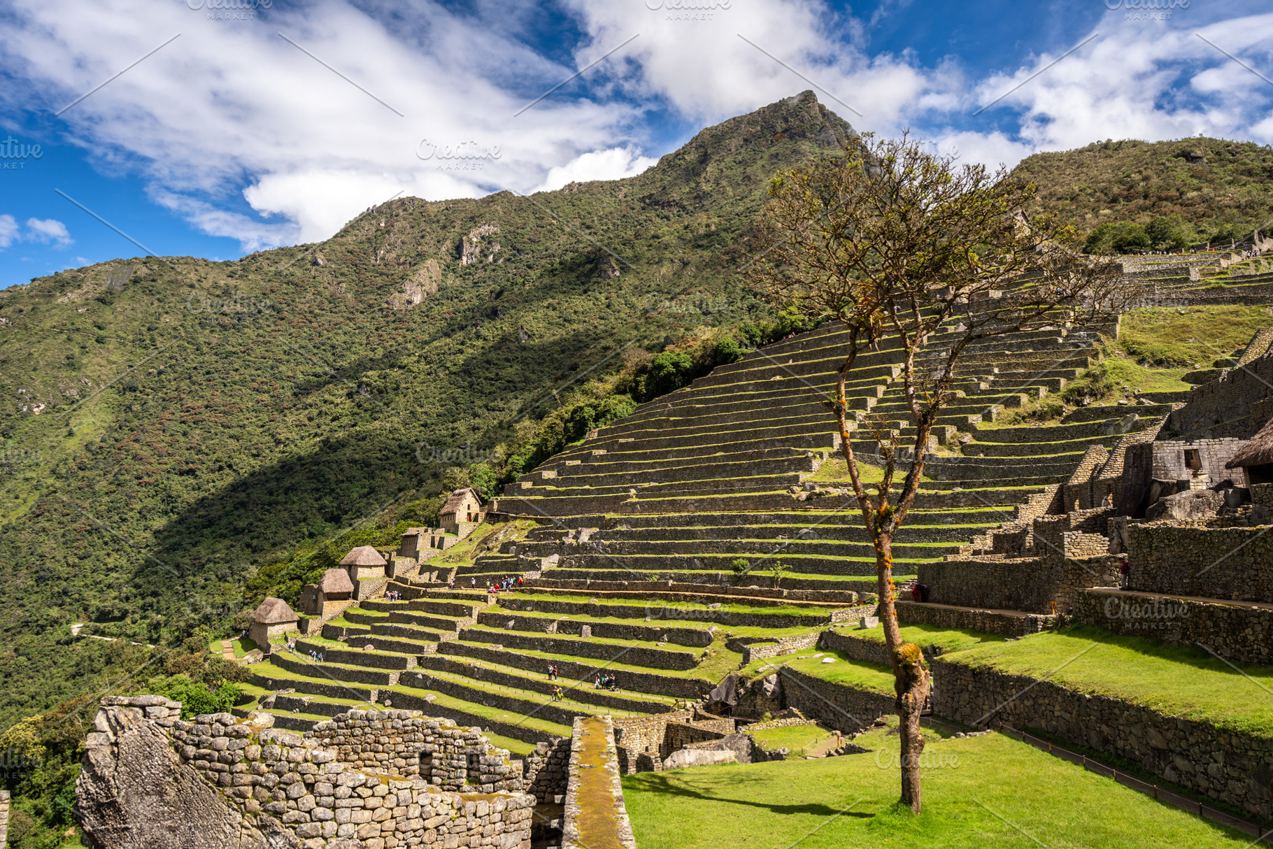 Panoramic view of Machu Picchu ruins with Huayna Picchu in backg, an Architecture Photo by GoodGoods