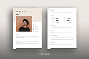 CV / Resume template for MS Word, a Resume Template by Mellene Templates (Thumbnail 1 of 3)