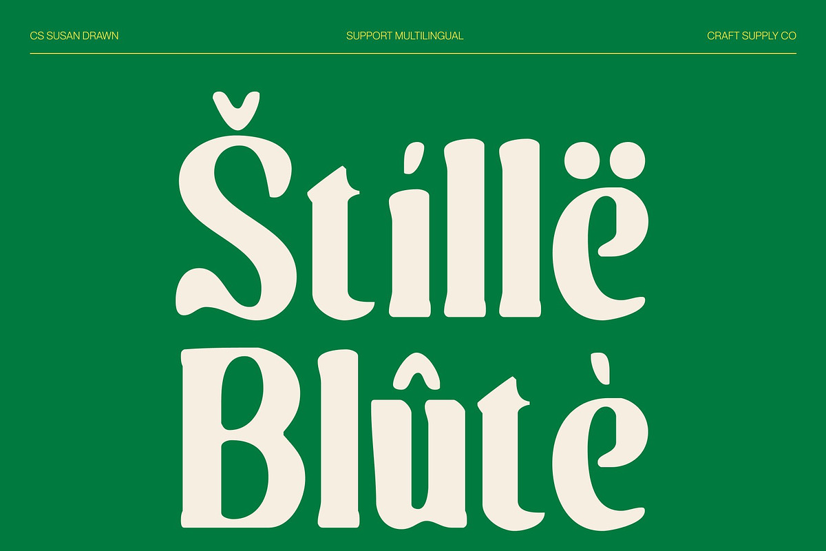 CS Susan Drawn, a Serif Font by Craft Supply Co. (Photo 7 of 8)
