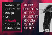 Orchild Serif | 91 Style Font, a Serif Font by Bosstype Studio (Thumbnail 6 of 12)