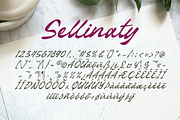 Sellinaty - Beautiful Script Font, a Script Font by overlaytemplates (Thumbnail 5 of 5)