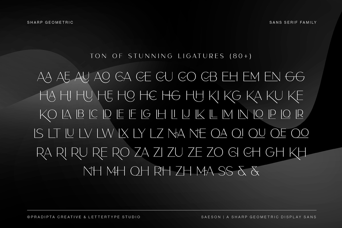 Saeson a Sharp Sans Serif Family, a Sans Serif Font by Lettertype Studio (Photo 8 of 12)