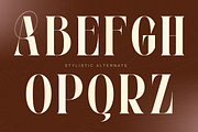 Velora Bloom - Duo Font Logo, a Sans Serif Font by Nirmana Visual (Thumbnail 13 of 13)
