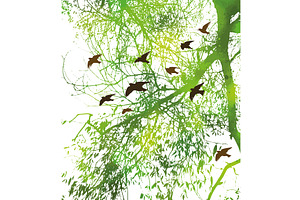 Silhouette of willow green tree