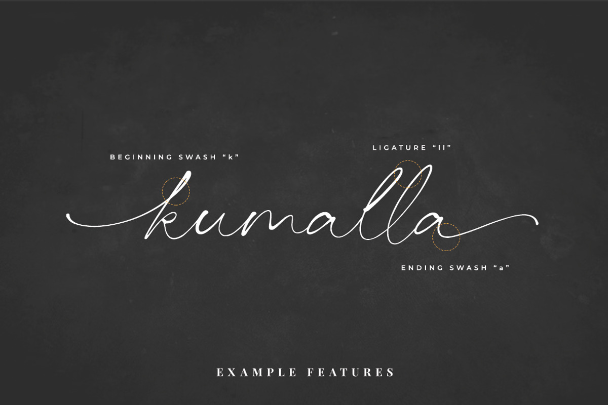 Bellidhia - Handwriting Font, a Handwritten Font by ianmikraz (Photo 2 of 8)
