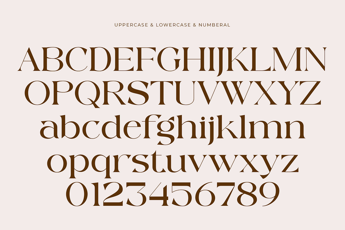 Rakena - Beauty Serif Typeface, a Serif Font by Muflieart (Photo 8 of 10)