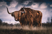 300 Professional Lightroom Presets, an Action Add-On by Madison Colt Studios (Thumbnail 16 of 29)
