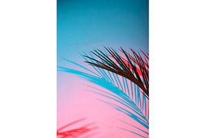 Tropical leaves in neon light with, an Abstract Photo by Yulia Furman