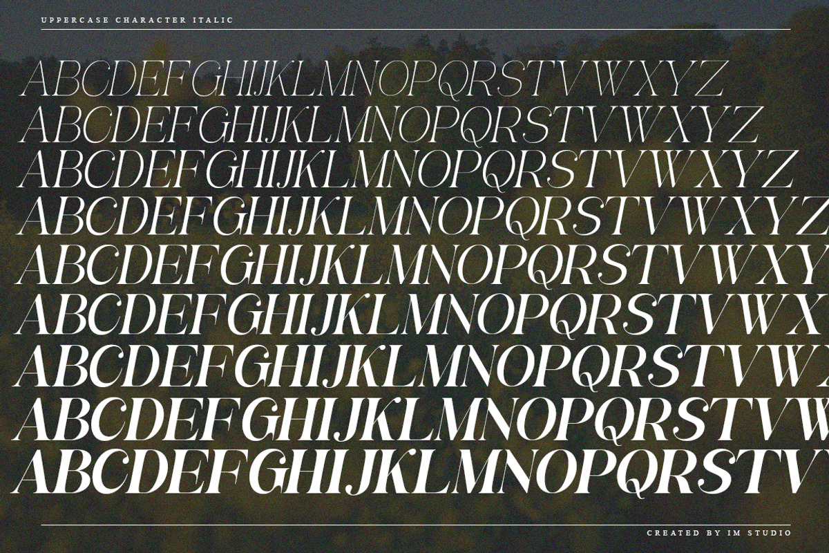 Awesome Gulgina | 18 Style Font, a Serif Font by IM Studio (Photo 13 of 15)