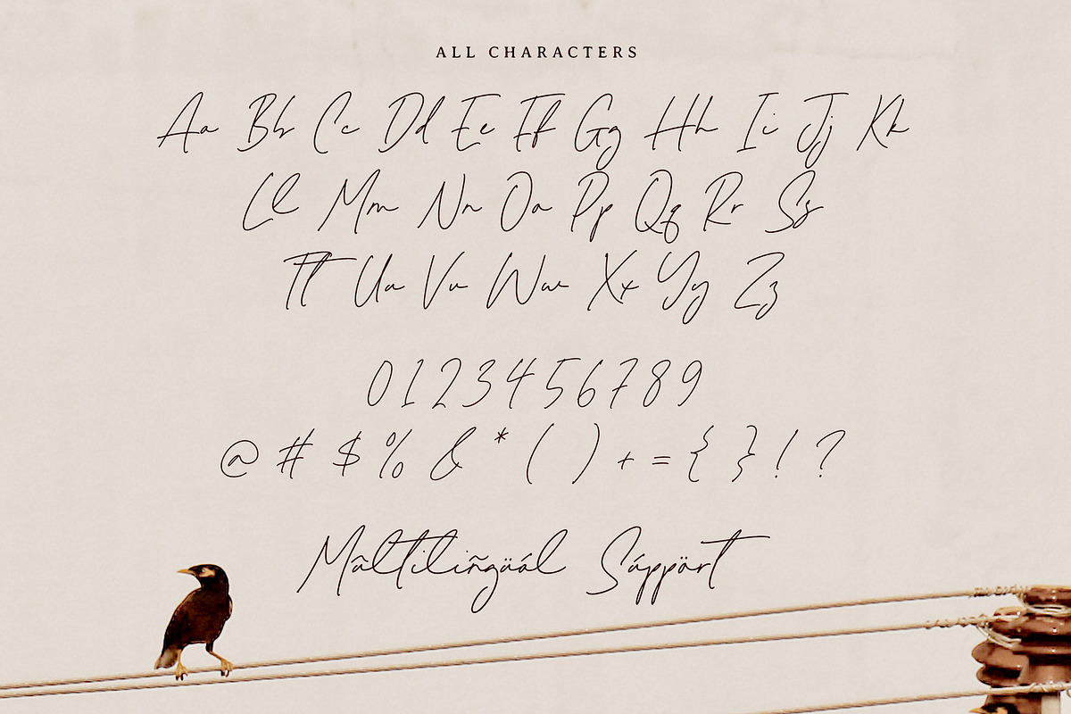 Melisma Signature Font, a Script Font by Timurtype (Photo 6 of 7)