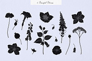 Enchanted Wonders 2 in 1 Graphic Set, a Decorative Illustration by rouxsupplyco (Thumbnail 9 of 19)