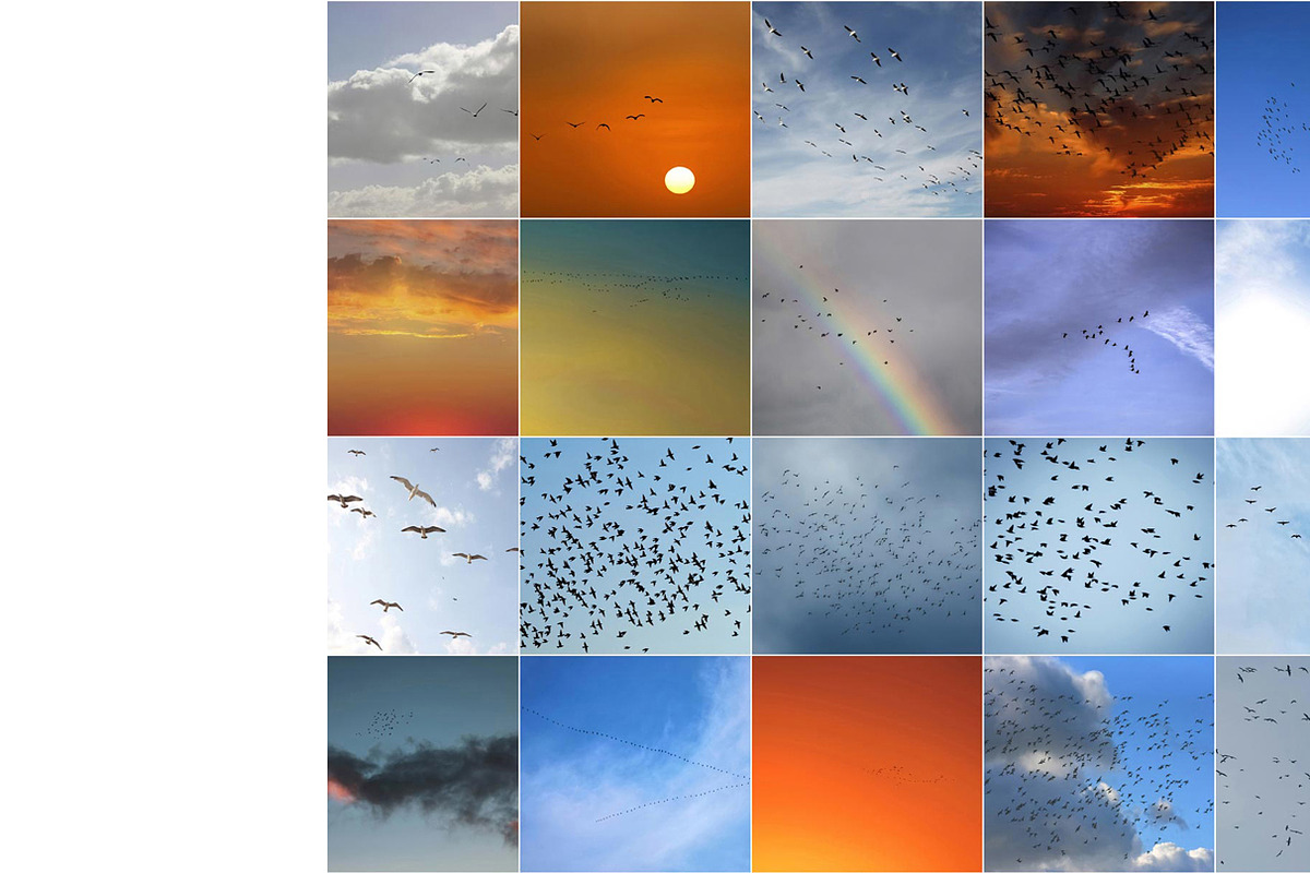 Sky Replacement Bundle for Photoshop, a Preset Add-On by Pix Cafe (Photo 8 of 42)
