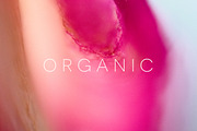 Organic | 20 Botanical Photos, a Nature Photo by Melanie Helena (Thumbnail 4 of 20)